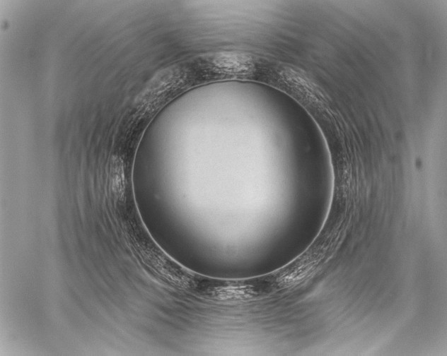 X0000059240320200510171438