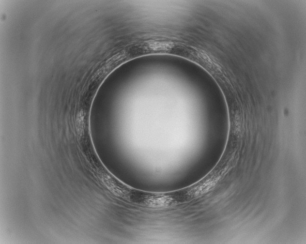 X0000059240321200510171438