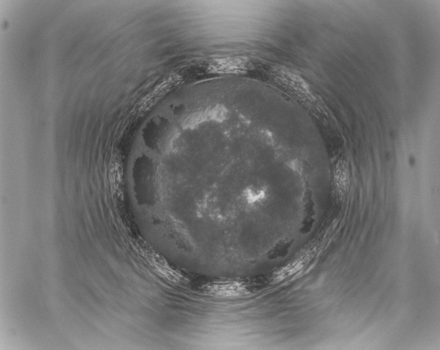 X0000059240322200510171438