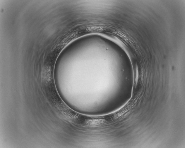 X0000059240323200510171438