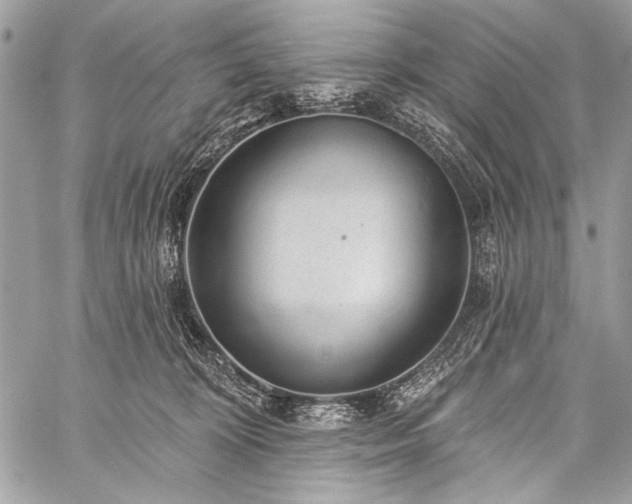 X0000059240324200510171438