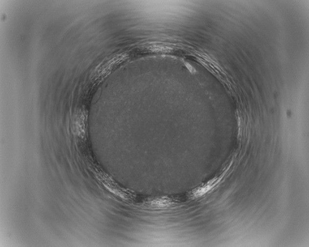 X0000059240325200510171438