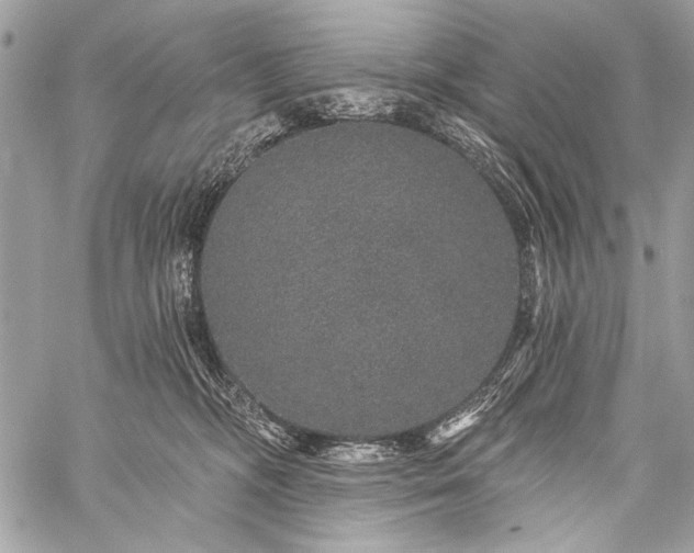 X0000059240326200510171438