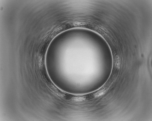 X0000059240327200510171438