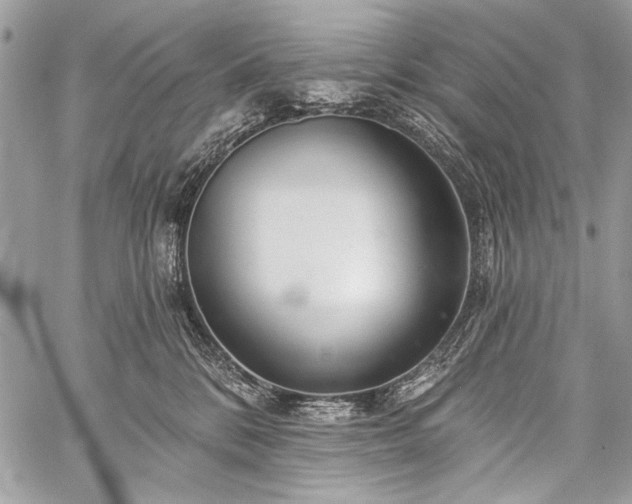 X0000059240328200510171438