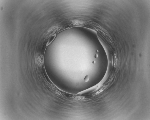 X0000059240329200510171438