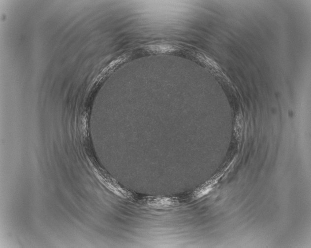 X0000059240330200510171438