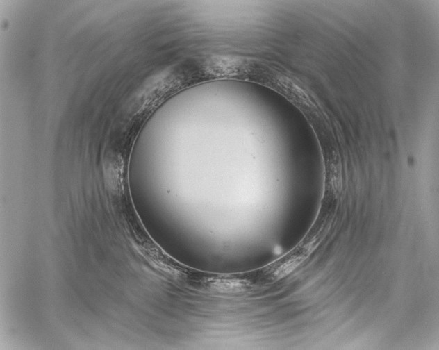 X0000059240332200510171438