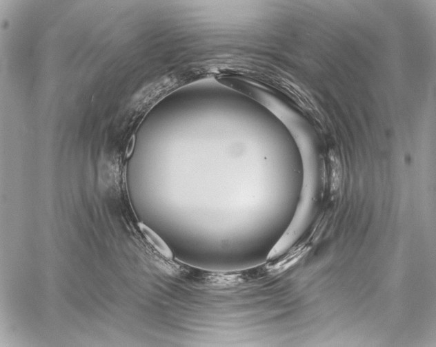 X0000059240333200510171438