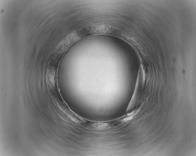 X0000059240334200510171438