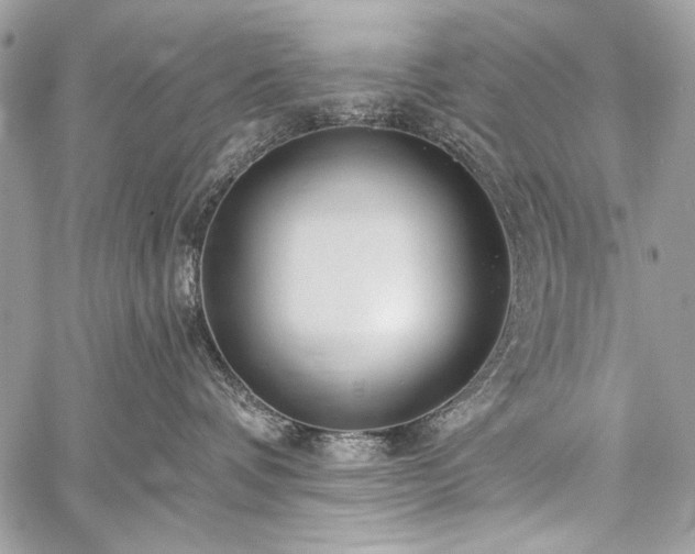 X0000059240336200510171438