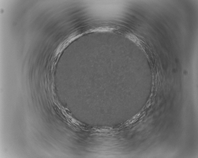 X0000059240337200510171437