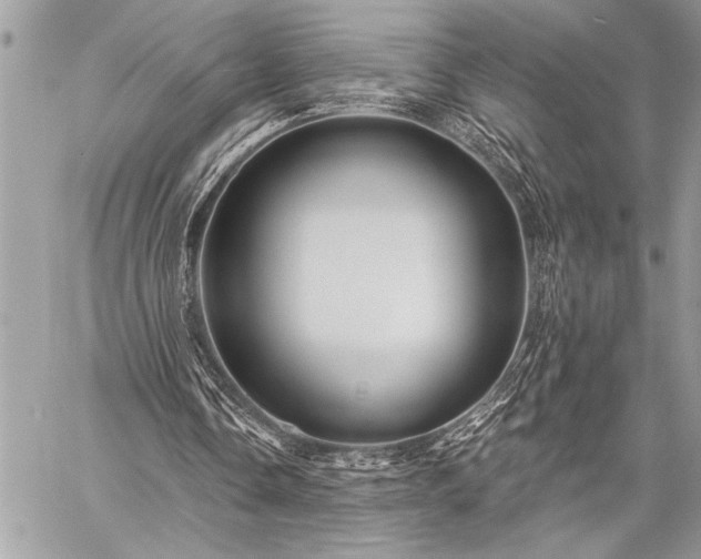 X0000059240338200510171437