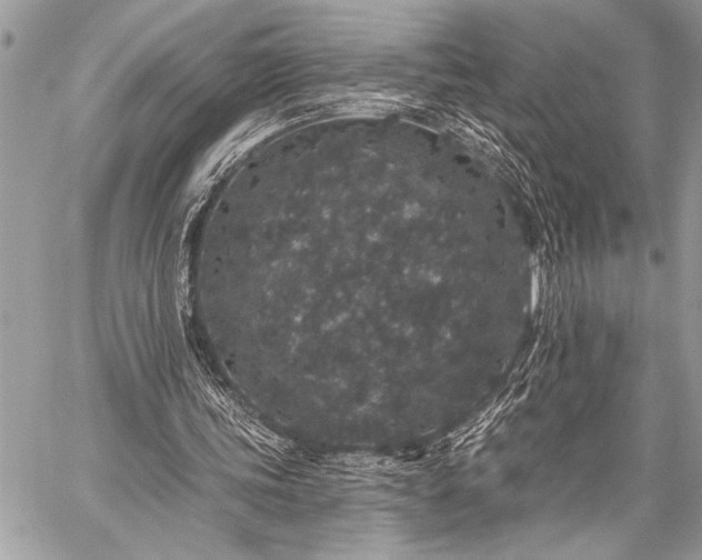 X0000059240339200510171437