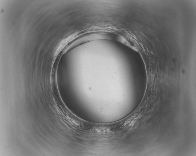 X0000059240340200510171437