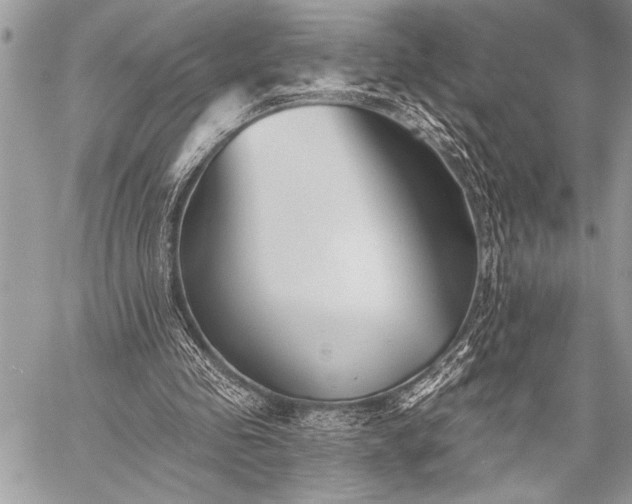 X0000059240341200510171437