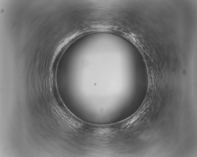 X0000059240342200510171437