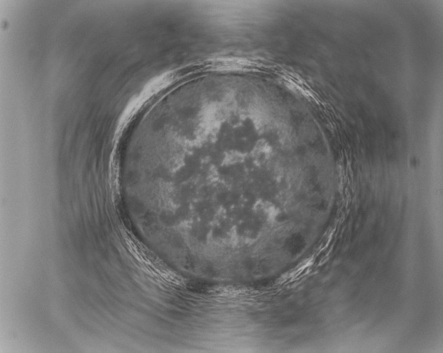 X0000059240343200510171437