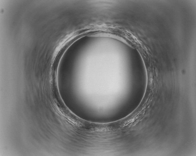 X0000059240344200510171437