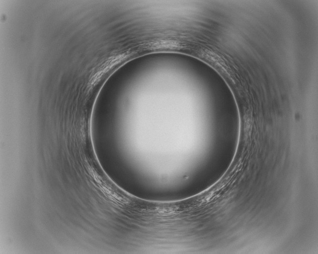 X0000059240345200510171437