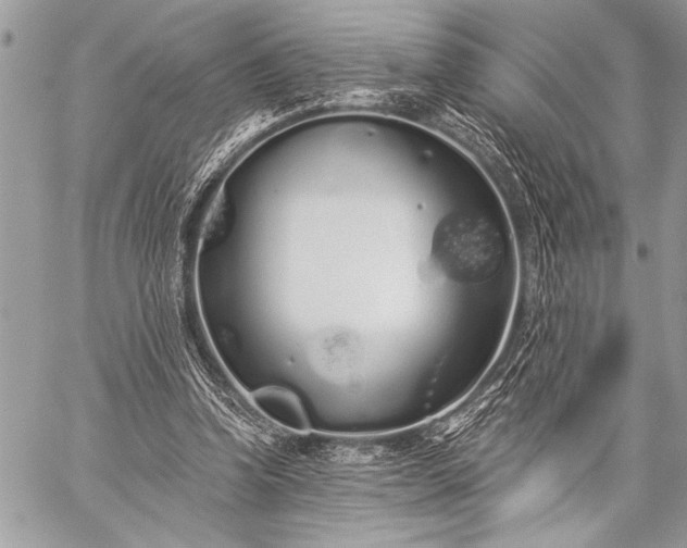 X0000059240346200510171437