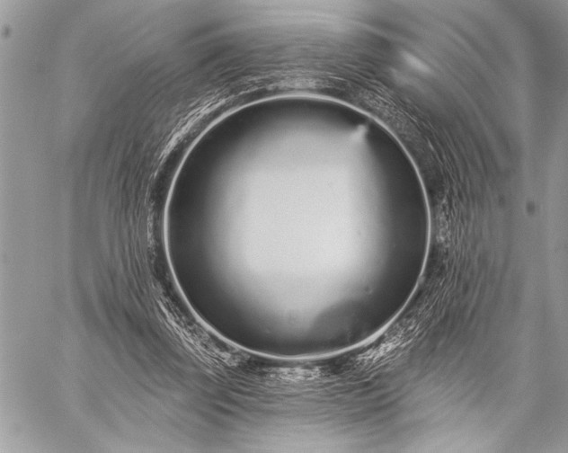 X0000059240347200510171437