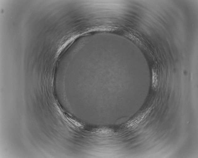 X0000059240348200510171437