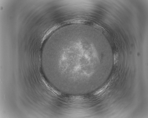 X0000059240349200510171437