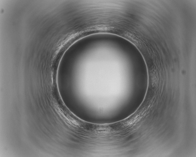 X0000059240350200510171437