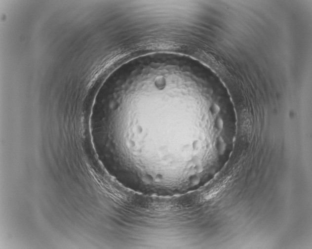 X0000059240351200510171437