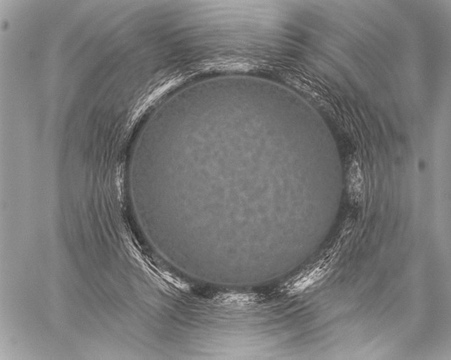 X0000059240352200510171437