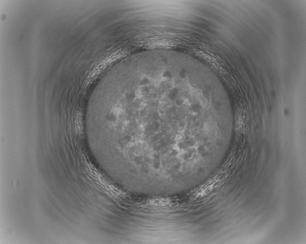 X0000059240353200510171437