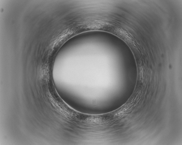 X0000059240354200510171437