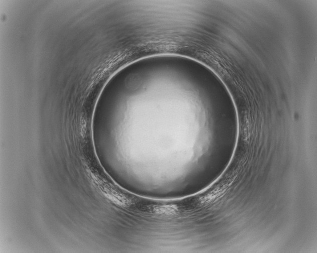 X0000059240355200510171437