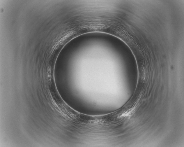 X0000059240356200510171437