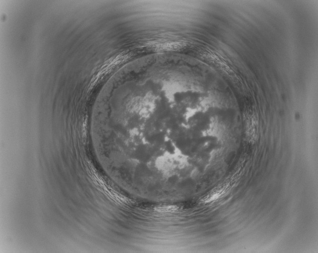 X0000059240357200510171437