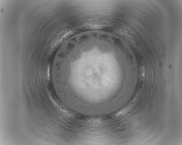 X0000059240358200510171437