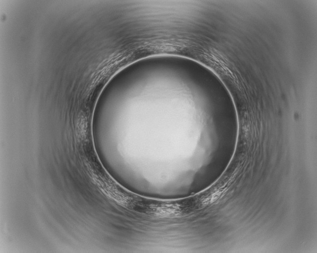 X0000059240359200510171437