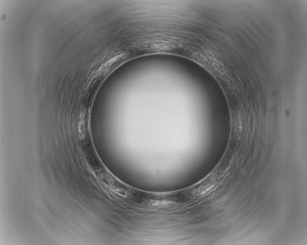 X0000059240360200510171437