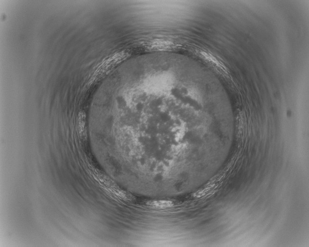 X0000059240361200510171437