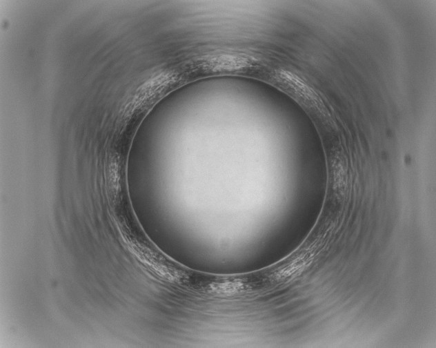 X0000059240362200510171437