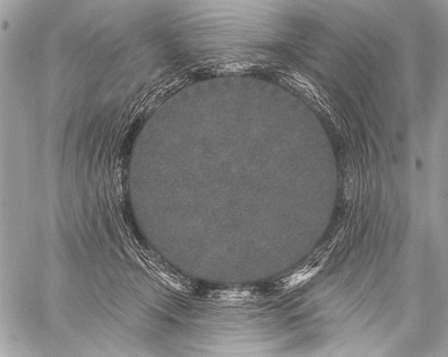 X0000059240366200510171437