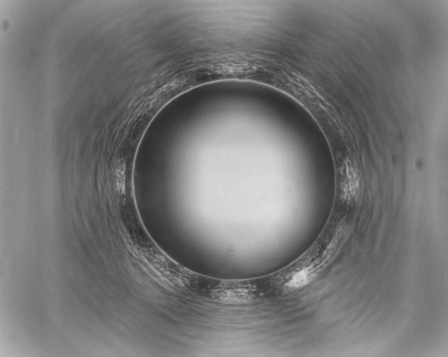 X0000059240368200510171437