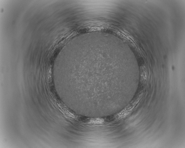 X0000059240369200510171437