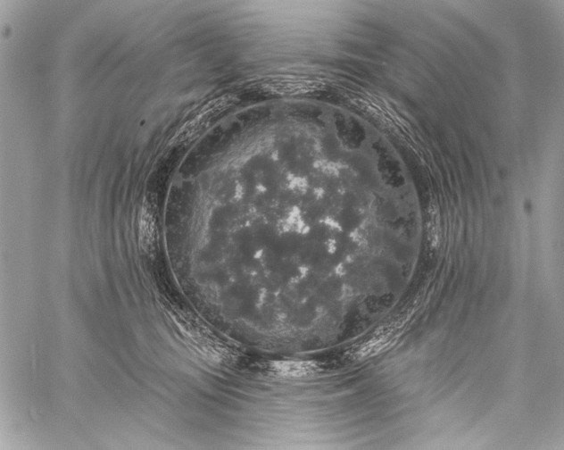 X0000059240371200510171437