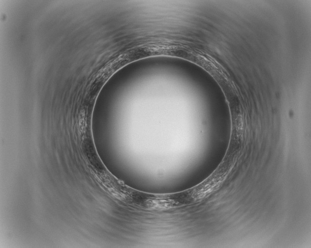 X0000059240372200510171437