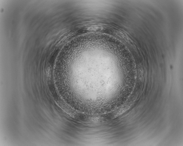 X0000059240375200510171437