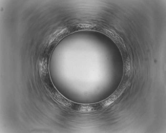 X0000059240376200510171437