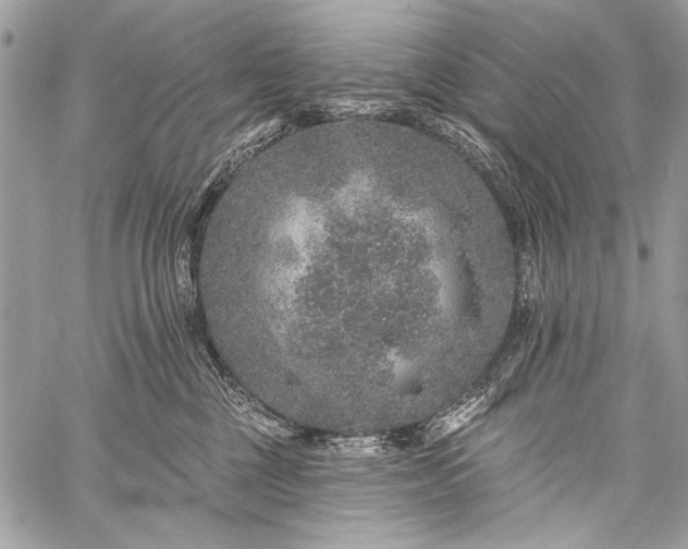 X0000059240377200510171438