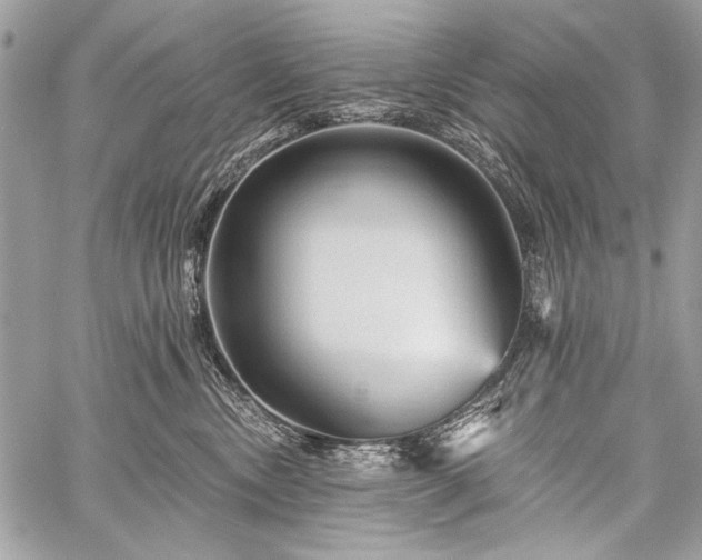 X0000059240378200510171438